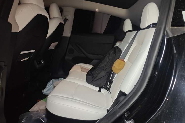 Used Tesla Model Y 2022 Revised Version Rear-Wheel Drive Left Rear Seat