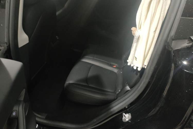 Used Tesla Model Y 2022 Revised Version Rear-Wheel Drive Left Rear Seat