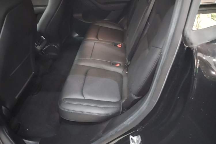 Used Tesla Model Y 2022 Rear-Wheel-Drive Version Left Rear Seat