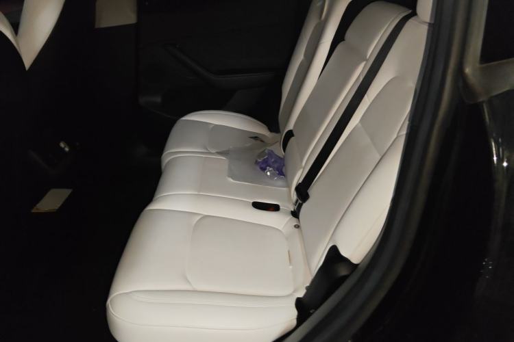 Used Tesla Model Y 2022 Revised Version Rear-Wheel Drive Left Rear Seat