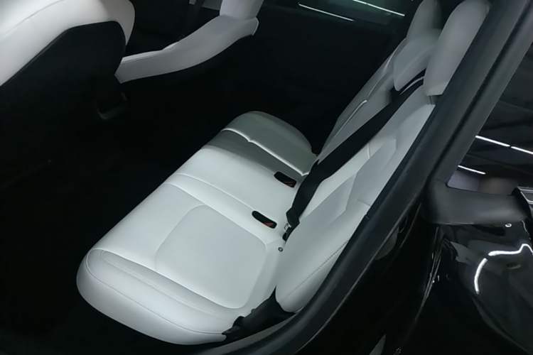 Used Tesla Model Y 2022 Rear-Wheel-Drive Version Left Rear Seat