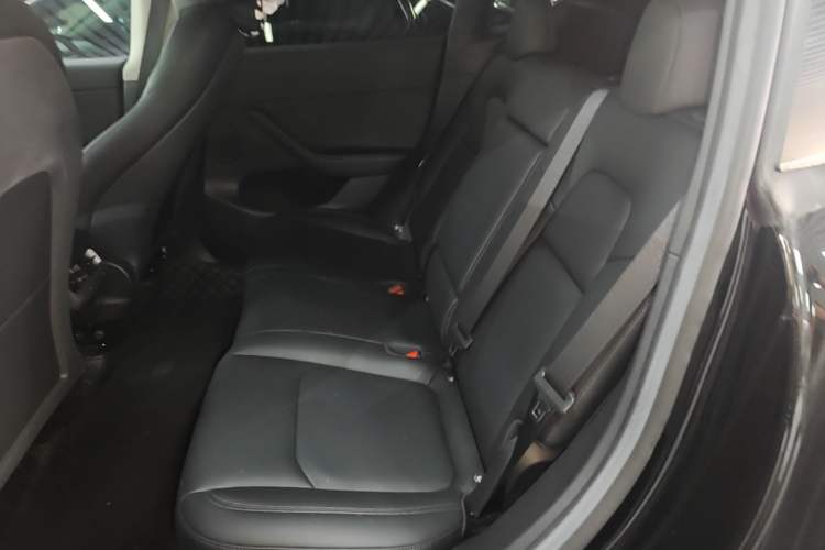Used Tesla Model Y 2022 Revised Version Rear-Wheel Drive Left Rear Seat