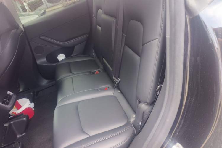 Used Tesla Model Y 2022 Revised Version Rear-Wheel Drive Left Rear Seat