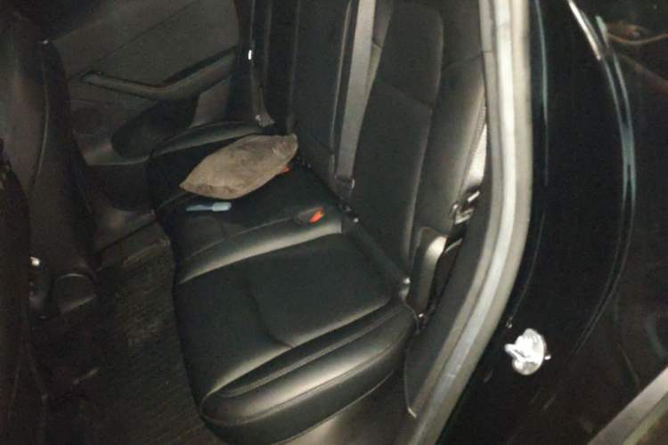 Used Tesla Model Y 2022 Revised Version Rear-Wheel Drive Left Rear Seat