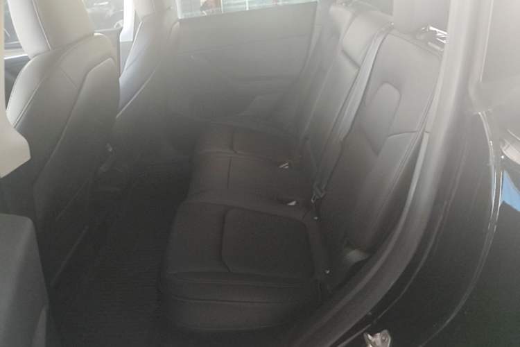 Used Tesla Model Y 2022 Revised Version Rear-Wheel Drive Left Rear Seat