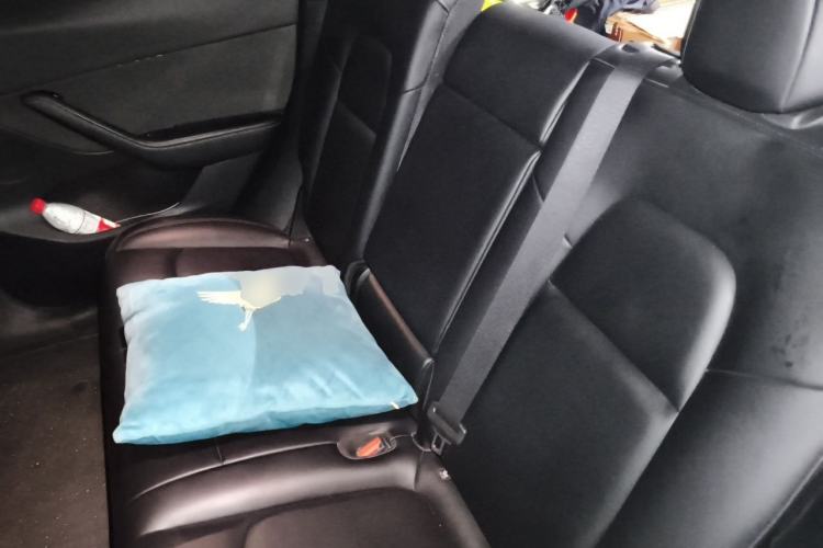Used Tesla Model Y 2022 Rear-Wheel-Drive Version Left Rear Seat