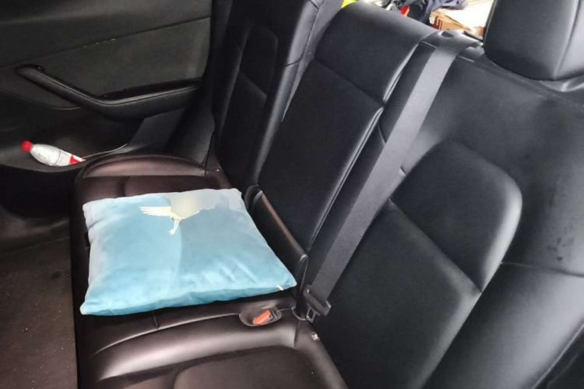 Used Tesla Model Y 2022 Rear-Wheel-Drive Version Left Rear Seat