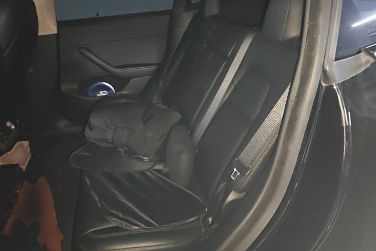 Used Tesla Model Y 2022 Rear-Wheel-Drive Version Left Rear Seat