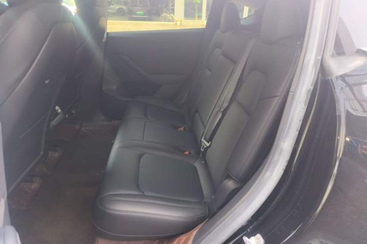 Used Tesla Model Y 2022 Rear-Wheel-Drive Version Left Rear Seat