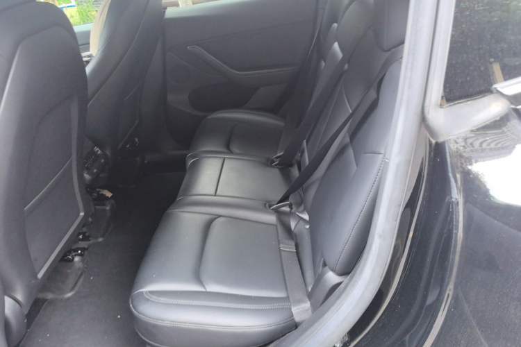 Used Tesla Model Y 2022 Revised Version Rear-Wheel Drive Left Rear Seat