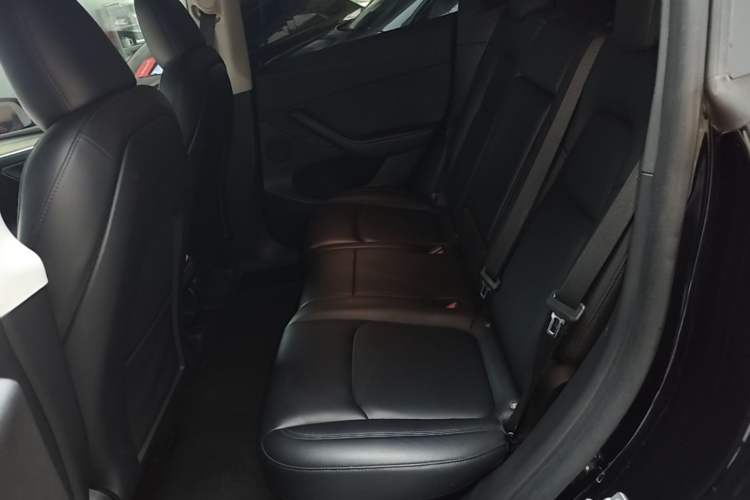 Used Tesla Model Y 2022 Revised Version Rear-Wheel Drive Left Rear Seat