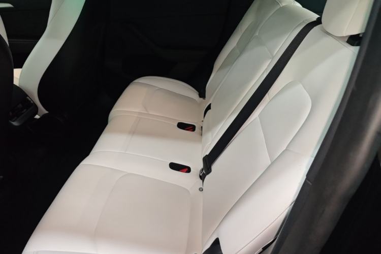 Used Tesla Model Y 2022 Revised Version Long-Range All-Wheel Drive Left Rear Seat