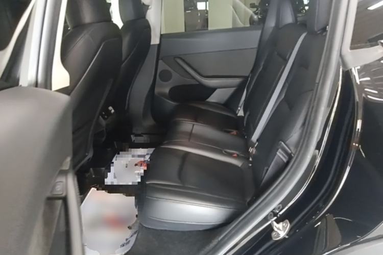 Used Tesla Model Y 2022 Revised Version Rear-Wheel Drive Left Rear Seat