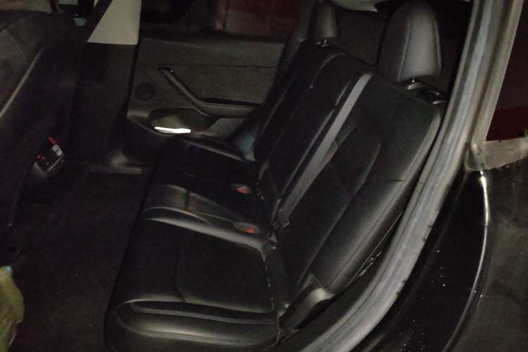 Used Tesla Model Y 2022 Revised Version Long-Range All-Wheel Drive Left Rear Seat
