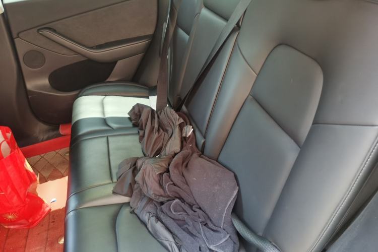 Used Tesla Model Y 2022 Revised Version Rear-Wheel Drive Left Rear Seat