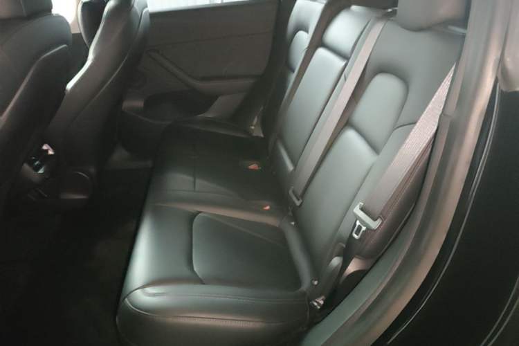 Used Tesla Model Y 2022 Rear-Wheel-Drive Version Left Rear Seat