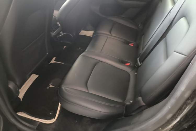 Used Tesla Model Y 2022 Revised Version Rear-Wheel Drive Left Rear Seat