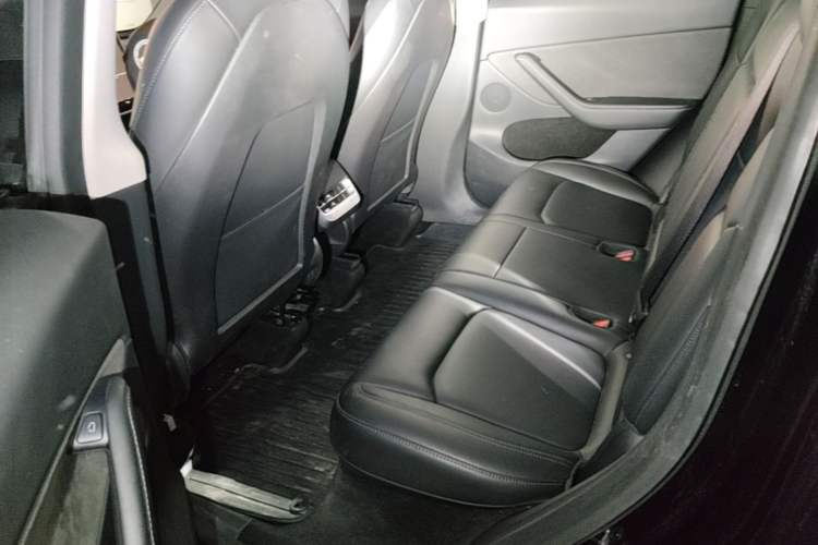 Used Tesla Model Y 2022 Rear-Wheel-Drive Version Left Rear Seat