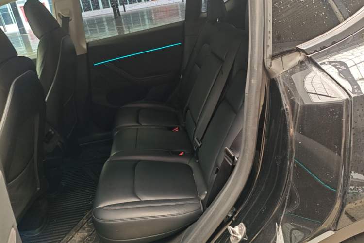 Used Tesla Model Y 2022 Revised Version Rear-Wheel Drive Left Rear Seat