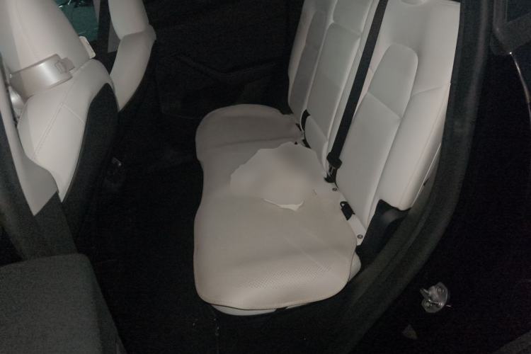 Used Tesla Model Y 2022 Revised Version Rear-Wheel Drive Left Rear Seat