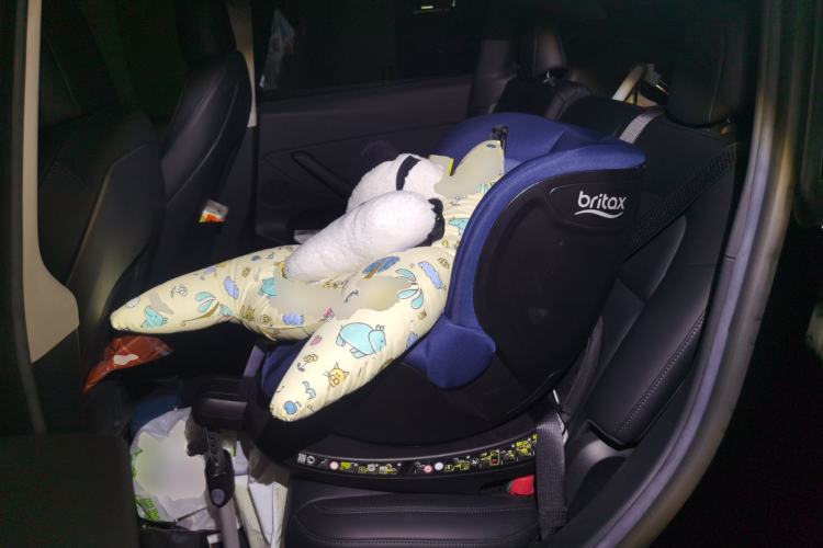 Used Tesla Model Y 2022 Rear-Wheel-Drive Version Left Rear Seat