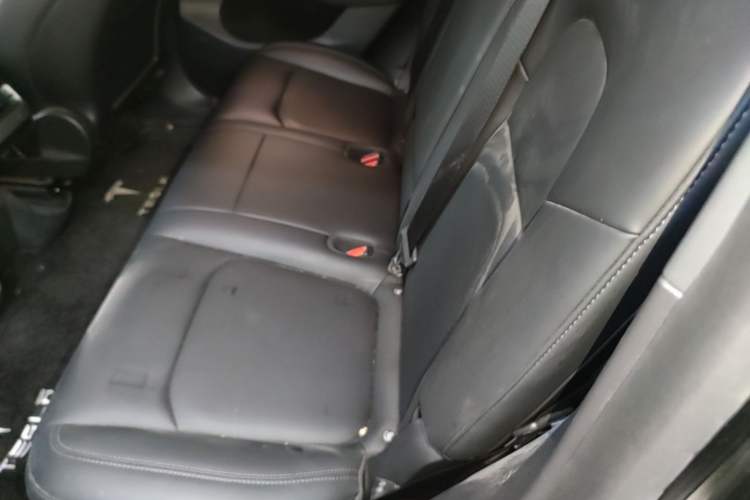 Used Tesla Model Y 2022 Long-Range All-Wheel-Drive Version Left Rear Seat