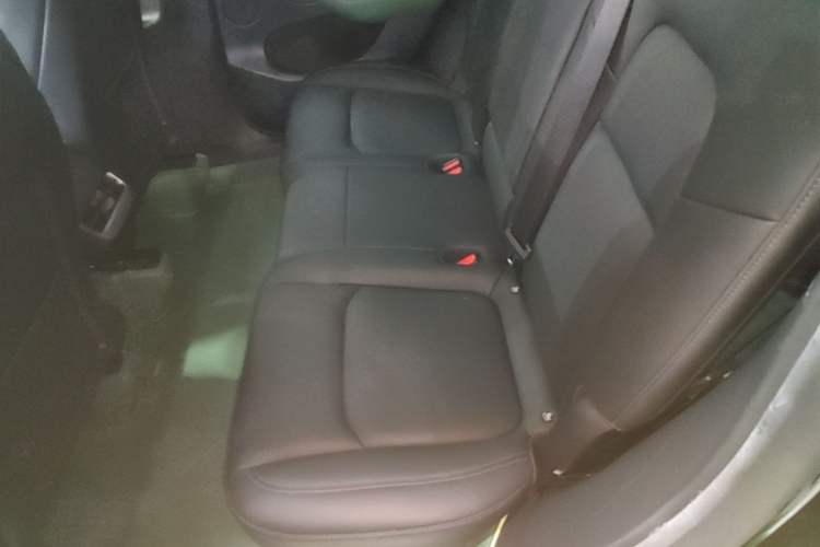 Used Tesla Model Y 2022 Revised Version Rear-Wheel Drive Left Rear Seat