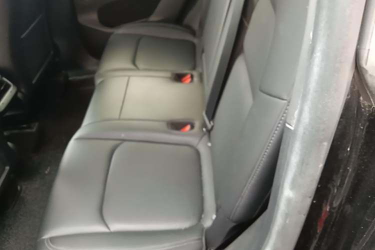 Used Tesla Model Y 2022 Revised Version Rear-Wheel Drive Left Rear Seat