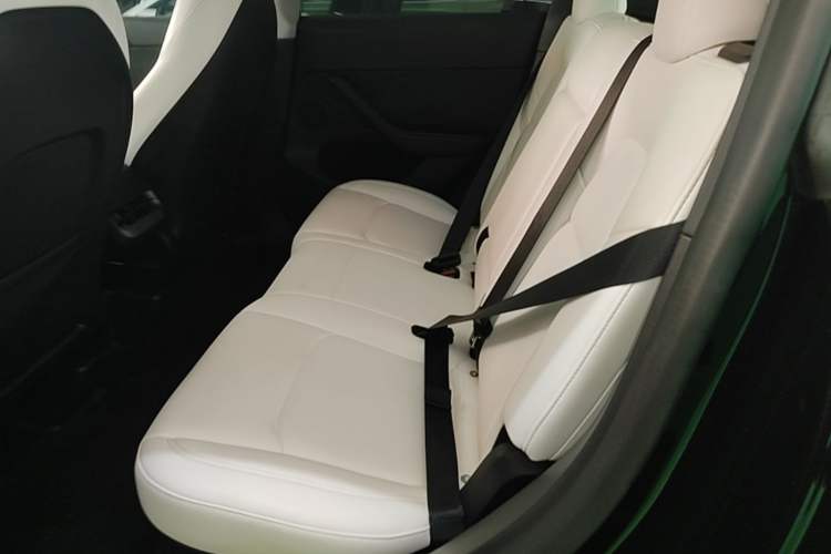Used Tesla Model Y 2022 Revised Version Rear-Wheel Drive Left Rear Seat