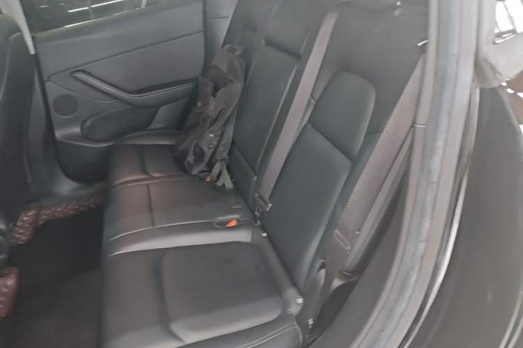 Used Tesla Model Y 2022 Rear-Wheel-Drive Version Left Rear Seat