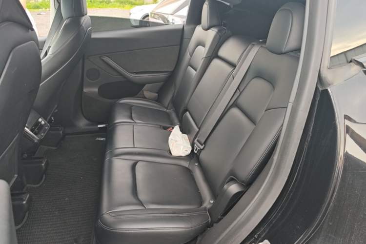 Used Tesla Model Y 2022 Performance High-Performance All-Wheel-Drive Version Left Rear Seat