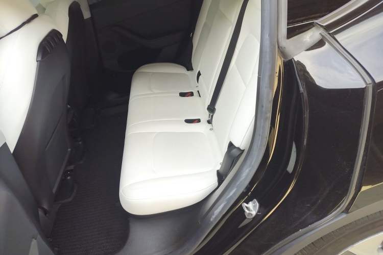 Used Tesla Model Y 2022 Rear-Wheel-Drive Version Left Rear Seat