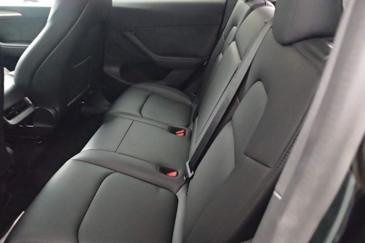 Used Tesla Model Y 2022 Revised Version Long-Range All-Wheel Drive Left Rear Seat