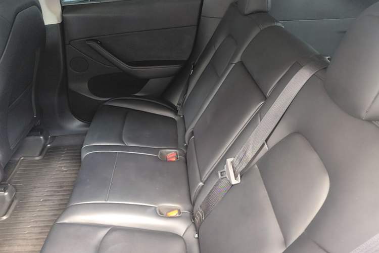 Used Tesla Model Y 2022 Revised Version Rear-Wheel Drive Left Rear Seat