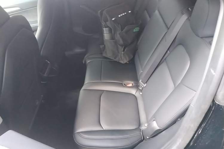 Used Tesla Model Y 2022 Revised Version Rear-Wheel Drive Left Rear Seat
