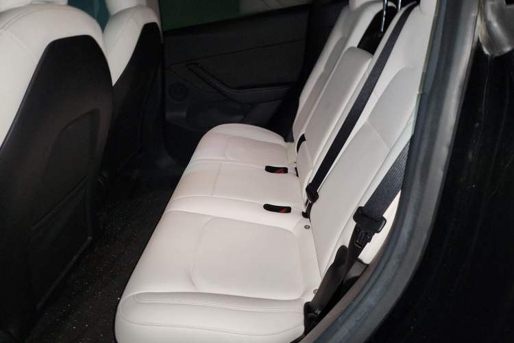 Used Tesla Model Y 2022 Long-Range All-Wheel-Drive Version Left Rear Seat