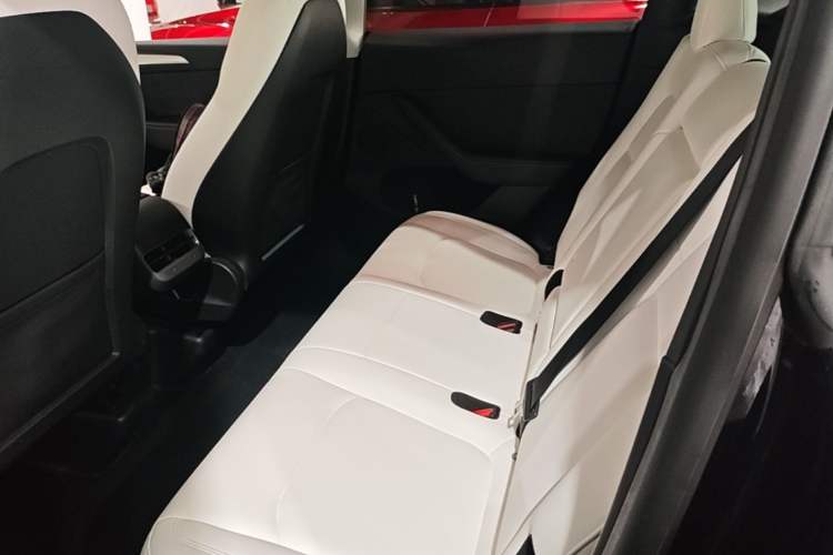 Used Tesla Model Y 2022 Rear-Wheel-Drive Version Left Rear Seat
