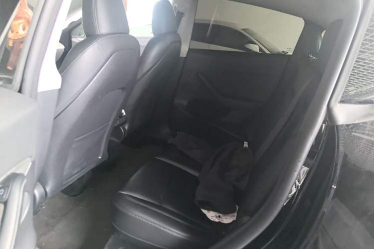 Used Tesla Model Y 2022 Revised Version Rear-Wheel Drive Left Rear Seat