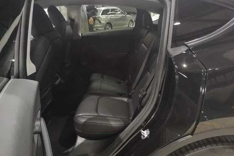 Used Tesla Model Y 2022 Revised Version Rear-Wheel Drive Left Rear Seat