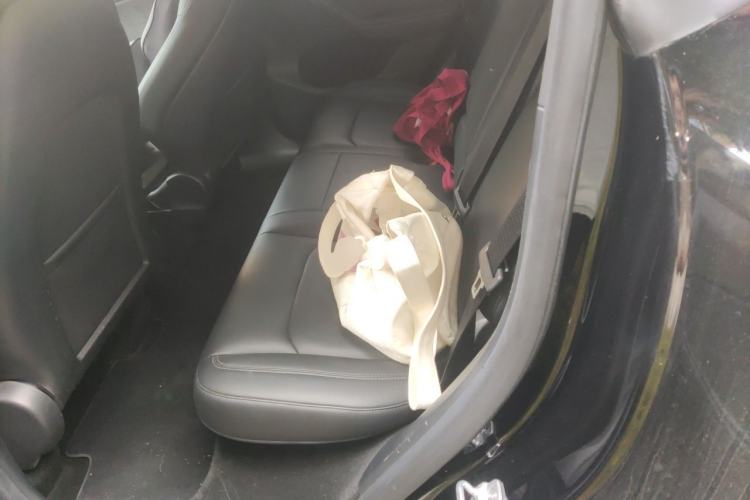 Used Tesla Model Y 2022 Rear-Wheel-Drive Version Left Rear Seat