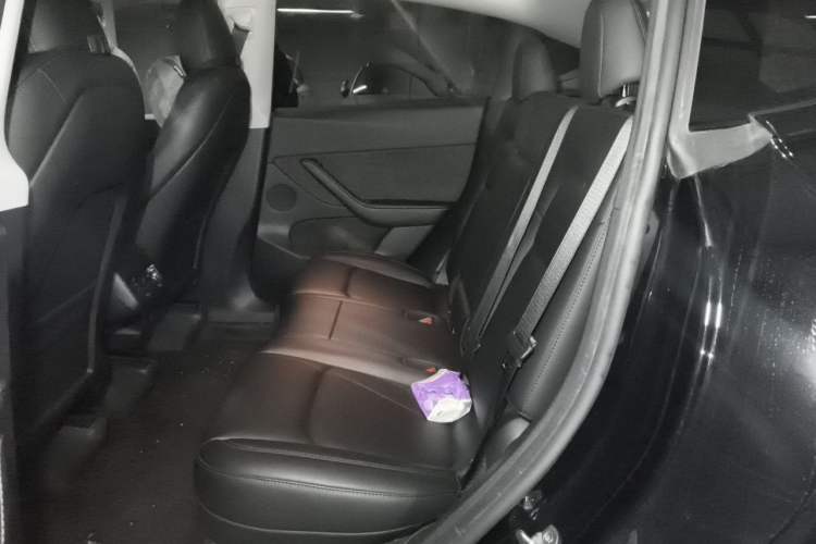 Used Tesla Model Y 2022 Revised Version Rear-Wheel Drive Left Rear Seat