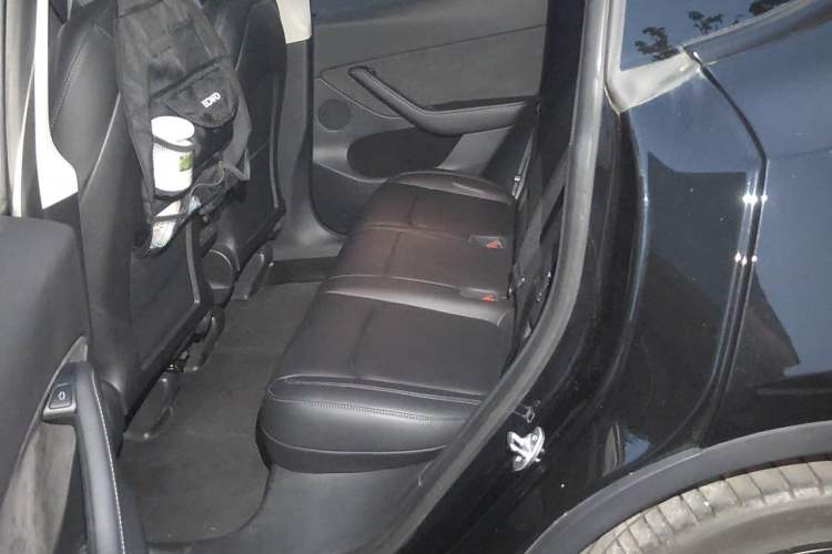 Used Tesla Model Y 2022 Revised Version Rear-Wheel Drive Left Rear Seat