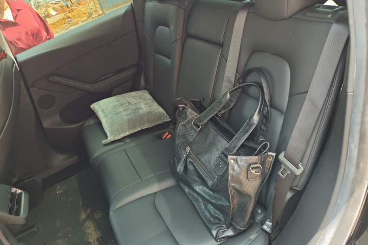 Used Tesla Model Y 2022 Revised Version Rear-Wheel Drive Left Rear Seat