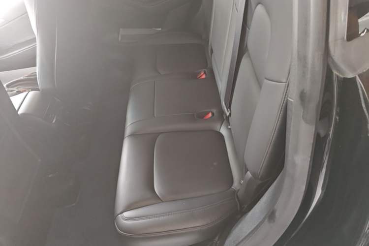 Used Tesla Model Y 2022 Rear-Wheel-Drive Version Left Rear Seat