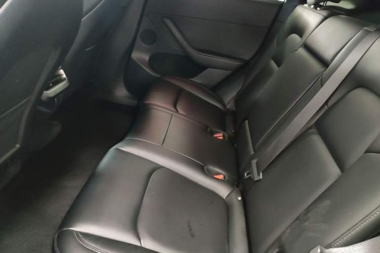 Used Tesla Model Y 2022 Revised Version Rear-Wheel Drive Left Rear Seat