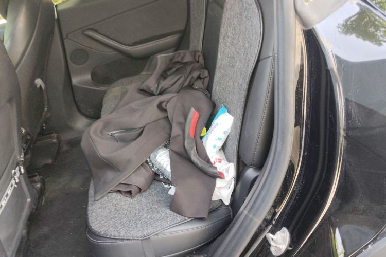 Used Tesla Model Y 2022 Revised Version Rear-Wheel Drive Left Rear Seat