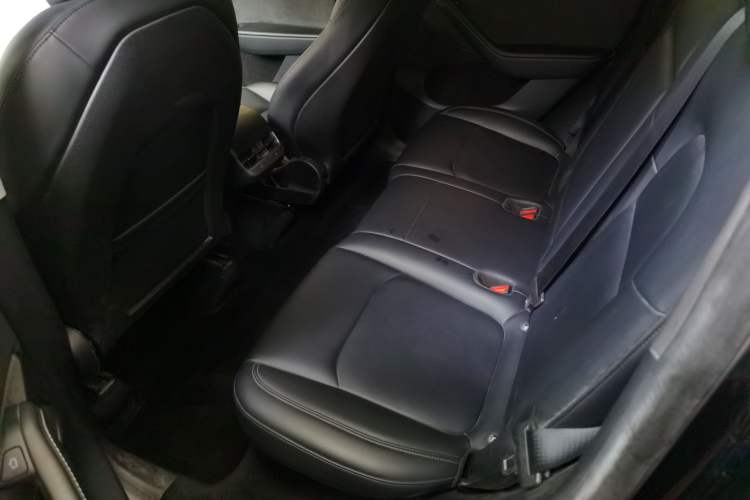 Used Tesla Model Y 2022 Revised Version Rear-Wheel Drive Left Rear Seat