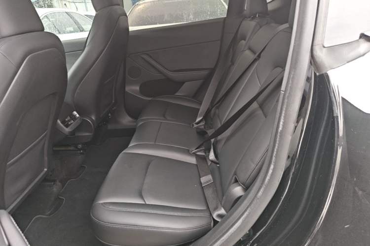 Used Tesla Model Y 2022 Revised Version Rear-Wheel Drive Left Rear Seat