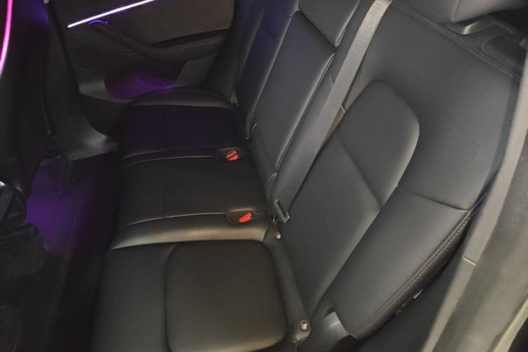 Used Tesla Model Y 2022 Revised Version Rear-Wheel Drive Left Rear Seat