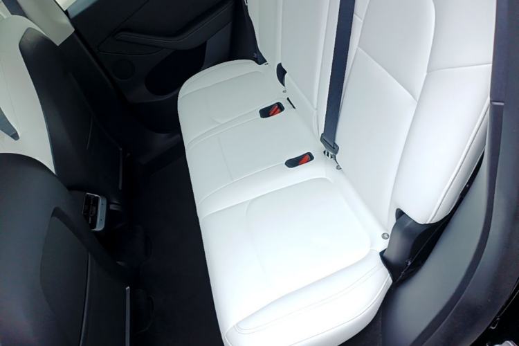Used Tesla Model Y 2022 Long-Range All-Wheel-Drive Version Left Rear Seat